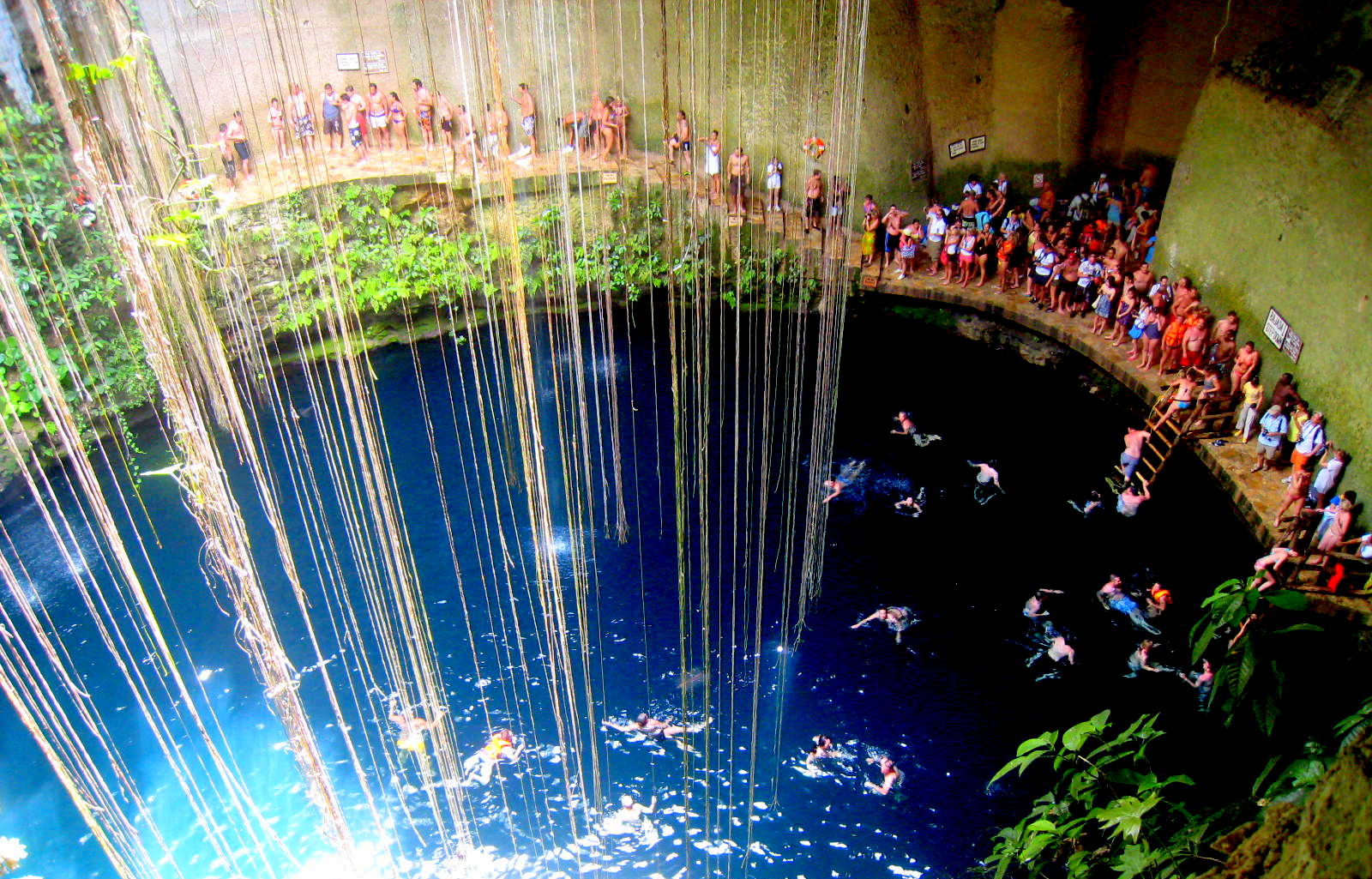 The Sacred Cenote The Sacred Cenote